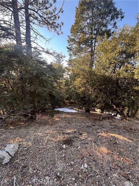 Twin Peaks, CA 92391,0 North Rd