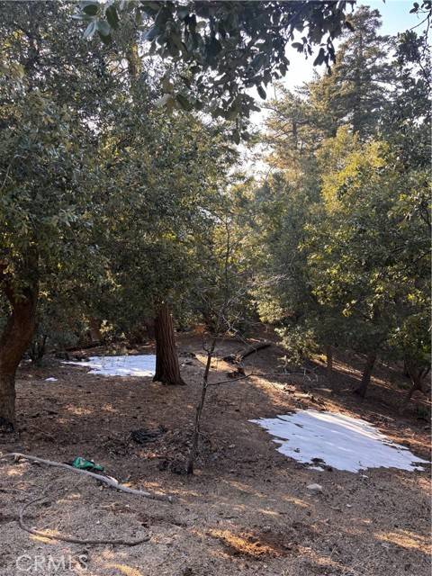 Twin Peaks, CA 92391,0 North Rd