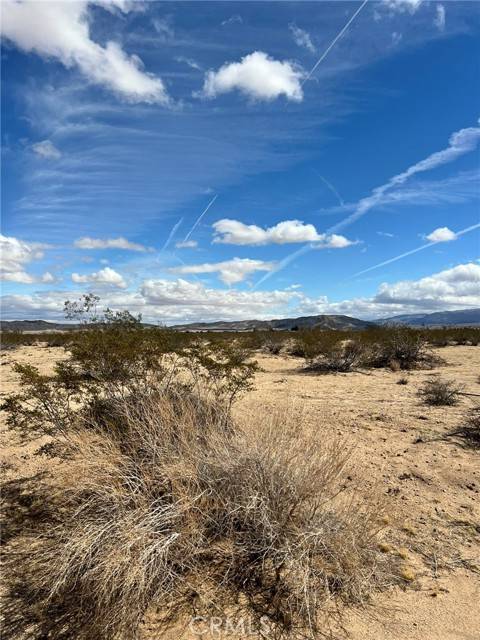 Joshua Tree, CA 92252,0 Delaware