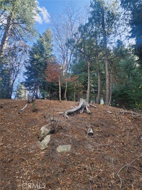 Twin Peaks, CA 92391,0 Mid Ln