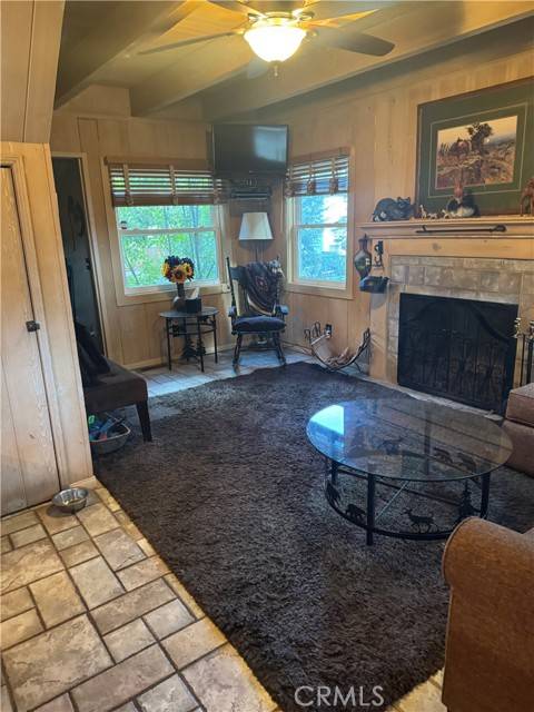 Lake Arrowhead, CA 92352,193 Hemlock Drive