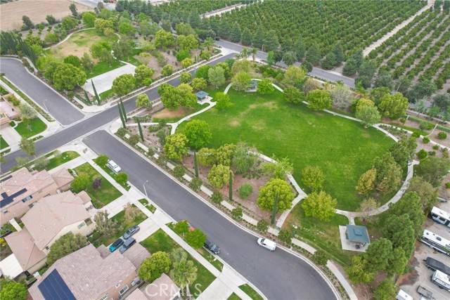 Redlands, CA 92374,1639 Tivoli Street