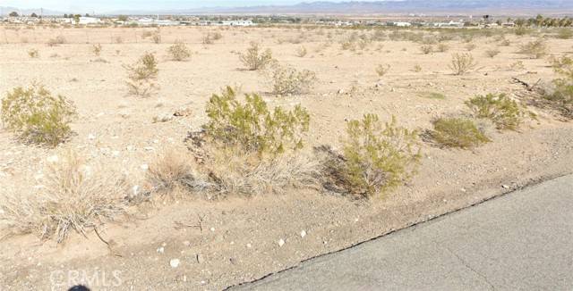 Needles, CA 92363,0 Safari