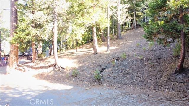 Lake Arrowhead, CA 92352,330 Castle Gate
