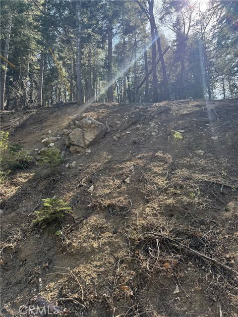 Lake Arrowhead, CA 92352,26537 Spyglass
