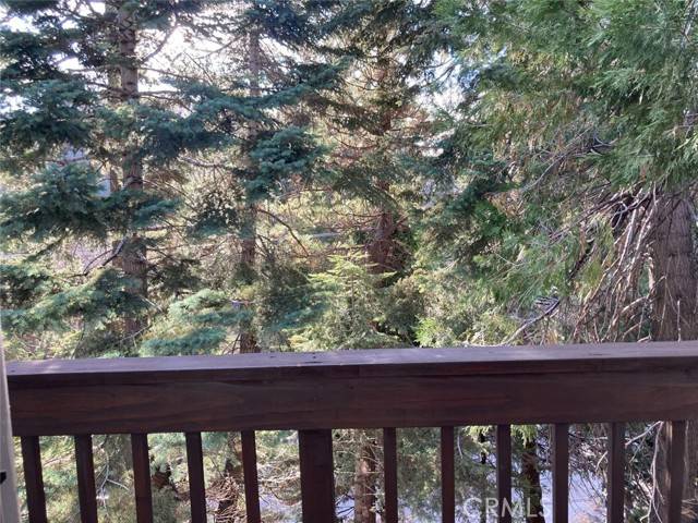 Lake Arrowhead, CA 92352,28943 Potomac Drive
