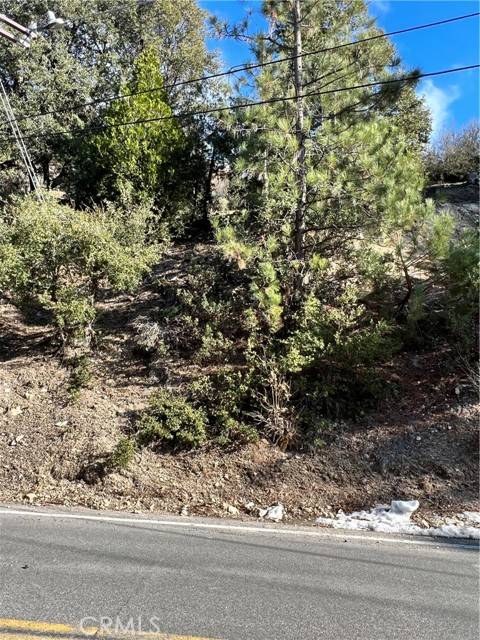 Lake Arrowhead, CA 92352,0 Brentwood