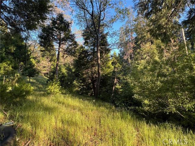 Cedar Glen, CA 92321,29038 Terrace