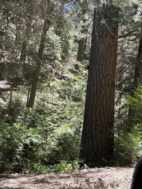Twin Peaks, CA 92391,26101 Boulder