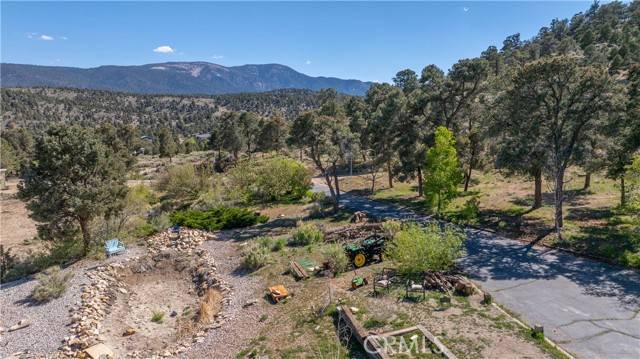 Big Bear City, CA 92314,1131 Kickapoo Court