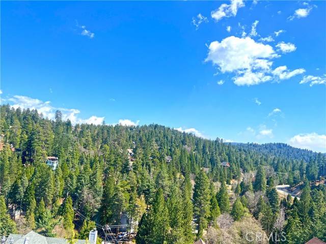 Lake Arrowhead, CA 92352,26855 Inyo Court