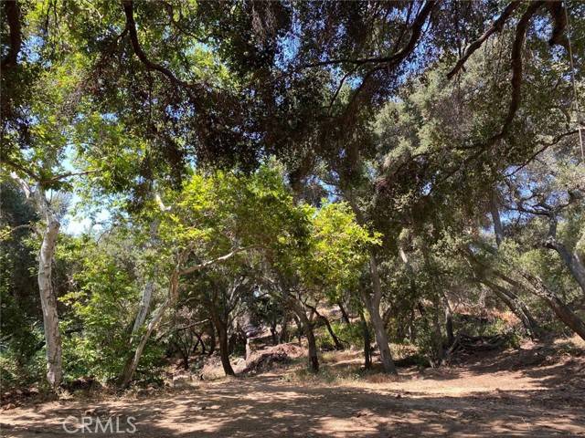 Temecula, CA 92590,0 El Calamar Rd