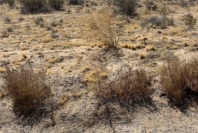 Unknown, CA 96005,0 hwy 62