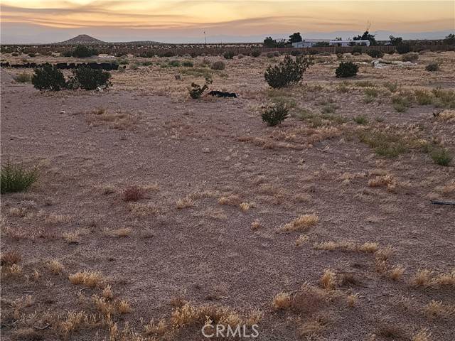 Newberry Springs, CA 92365,36955 Troy