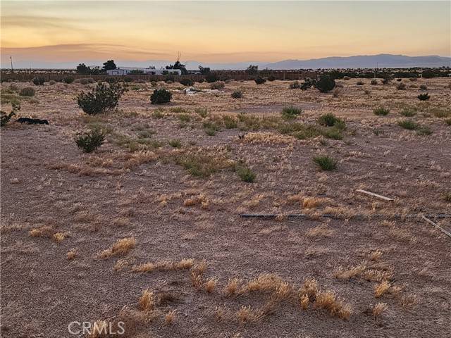 Newberry Springs, CA 92365,47701 Palma Vista