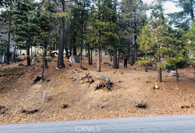 Lake Arrowhead, CA 92352,27315 Pinewood