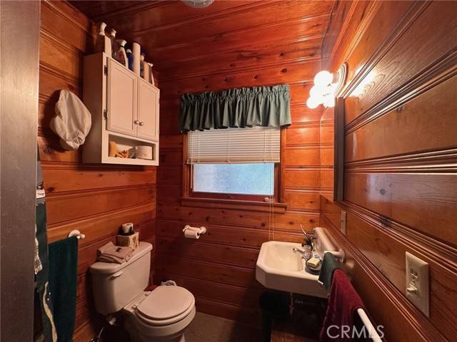 Angelus Oaks, CA 92305,6005 Maries