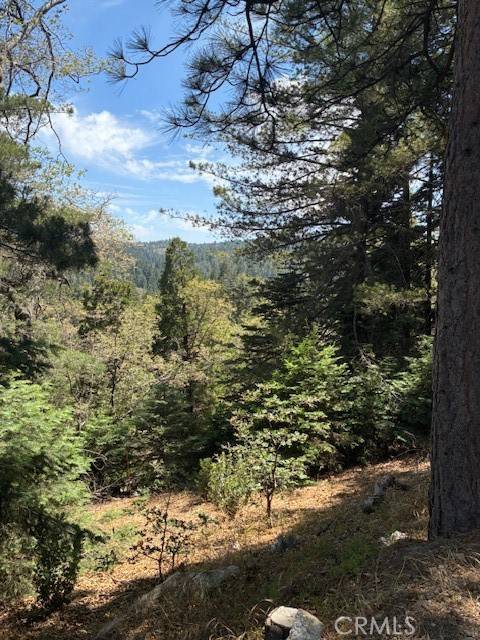 Lake Arrowhead, CA 92317,248 Old Toll