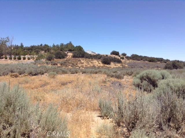 Oak Hills, CA 92344,0 Forestry