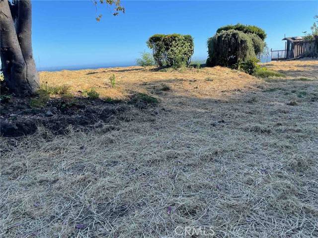 Unincorporated, CA 94924,20 Ocean