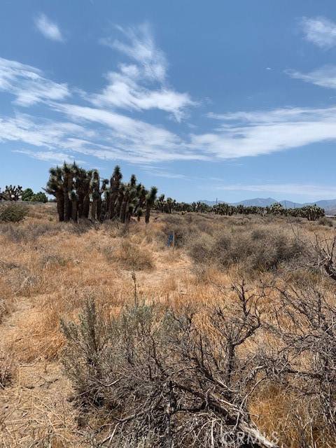 Phelan, CA 92371,0 Tumbleweed