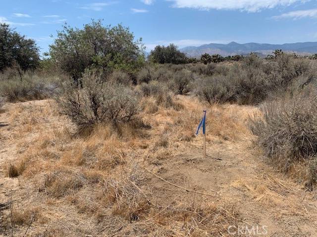 Phelan, CA 92371,0 Tumbleweed