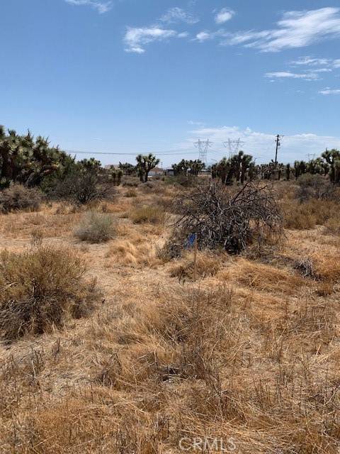 Phelan, CA 92371,0 Tumbleweed