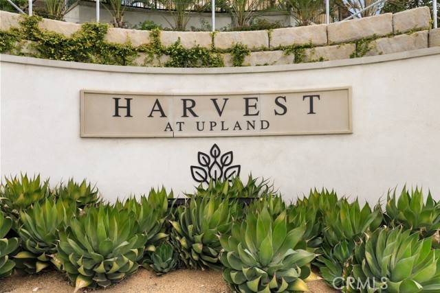 Upland, CA 91786,885 Harvest Avenue