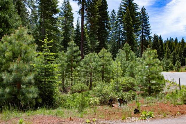 Lake Almanor, CA 96137,69 Snowy Peak