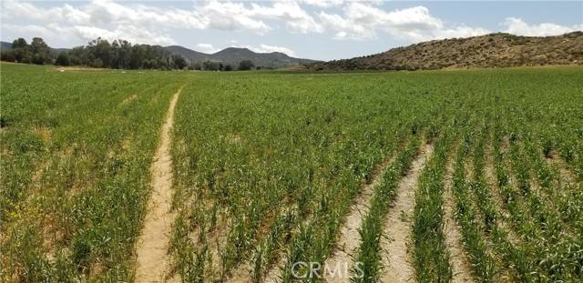 Menifee, CA 92584,0 Sherman