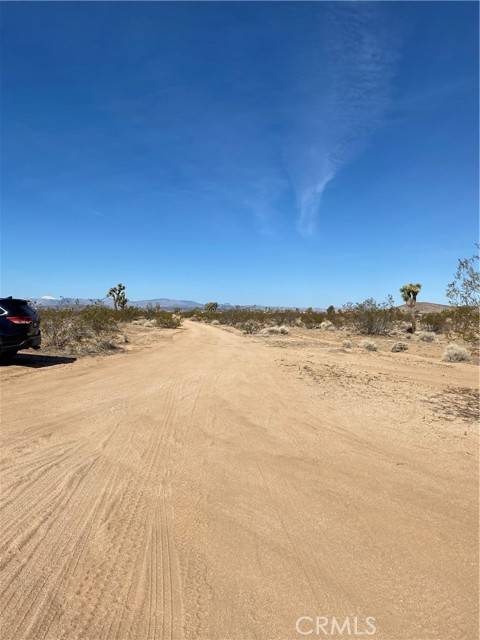 Joshua Tree, CA 92252,0 Cielito