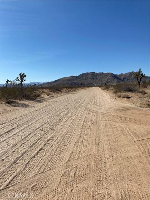 Joshua Tree, CA 92252,0 Cielito