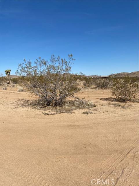 Joshua Tree, CA 92252,0 Cielito