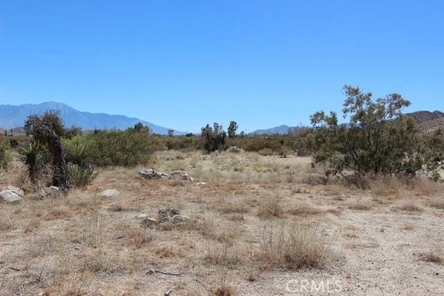 Morongo Valley, CA 92256,0 Mesquite