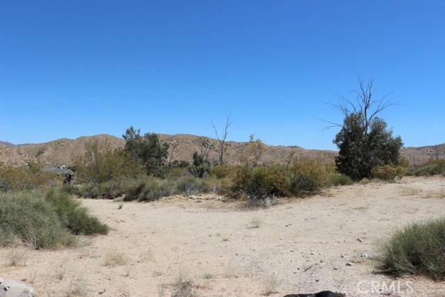 Morongo Valley, CA 92256,0 Mesquite