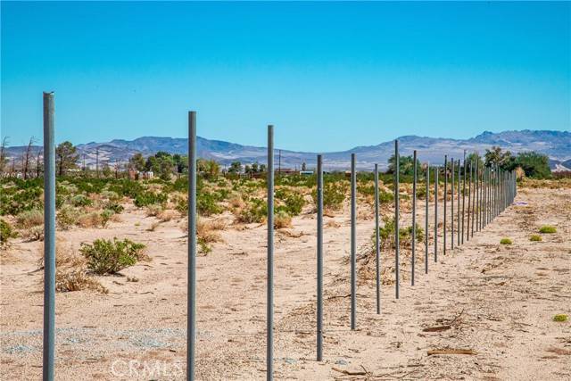 Newberry Springs, CA 92365,45444 Toy Truck