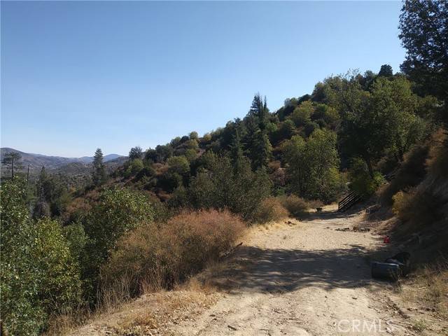 Cedar Glen, CA 92321,30044 Lignum Vitae