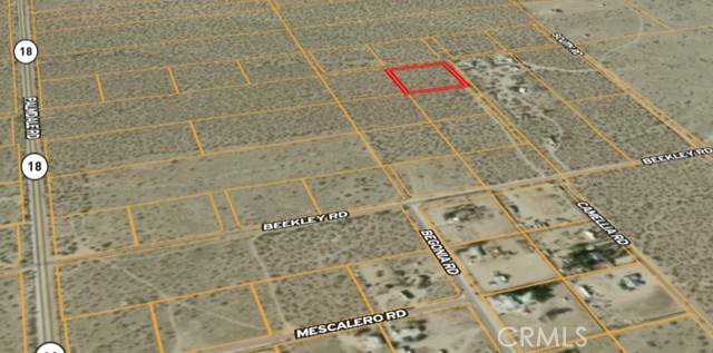 Pinon Hills, CA 92372,0 Camellia