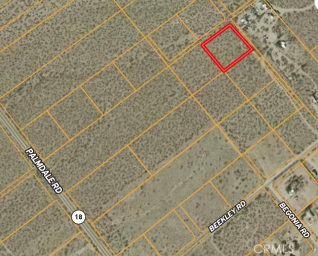 Pinon Hills, CA 92372,0 Camellia