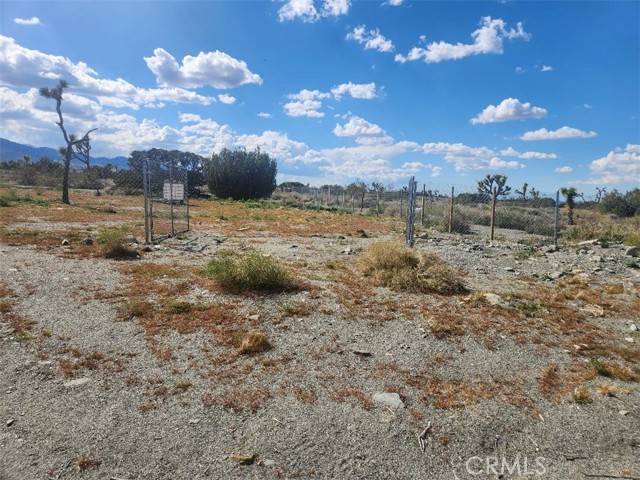 Pinon Hills, CA 92372,2647 Minero