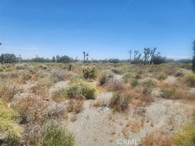 Pinon Hills, CA 92372,0 Minero