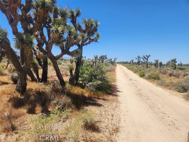 Llano, CA 93544,0 Ave X6 212