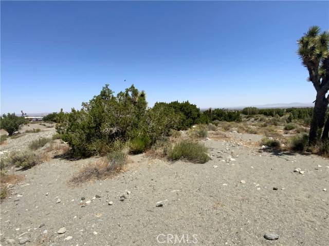 Pinon Hills, CA 92372,2975 Yucca Terrace
