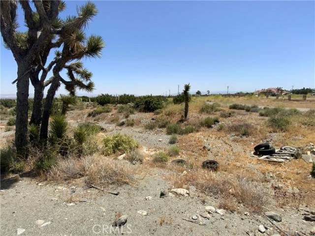Pinon Hills, CA 92372,0 Phelan