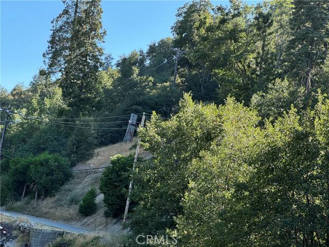 Cedar Glen, CA 92321,29602 Hook Creek