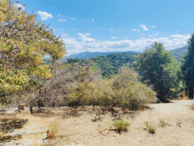 Cedar Glen, CA 92321,289 Lilac
