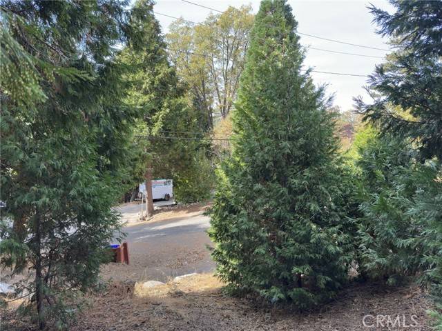 Lake Arrowhead, CA 92352,181 Fremont