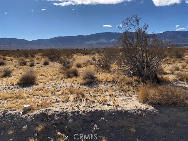 Lucerne Valley, CA 92356,0 Mojave