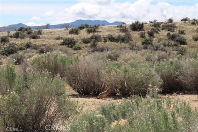 Weldon, CA 93283,1790 S Kelso Road