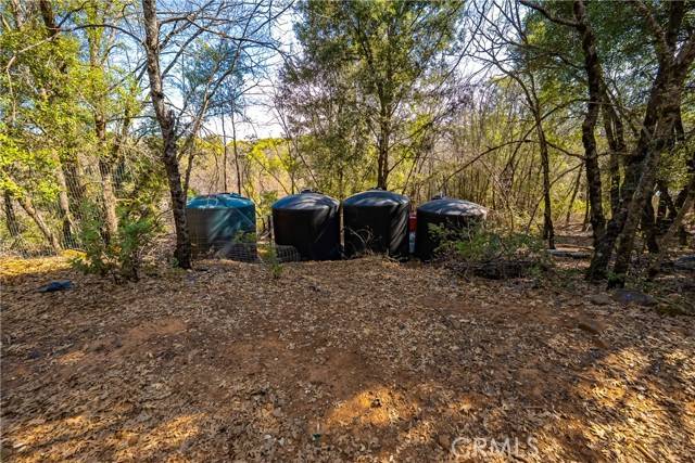 Kelseyville, CA 95451,9180 Diamond Dust